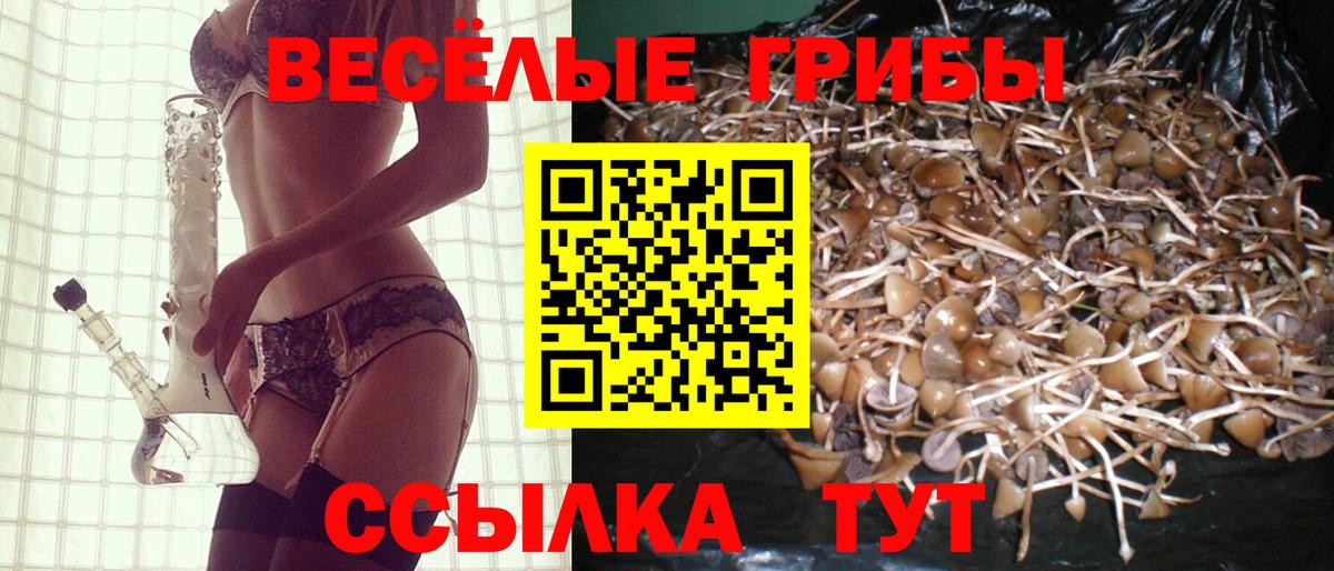 Галлюциногенные грибы Cubensis  Вход с VPN  Псилоцибиновые грибы Cubensis  Саранск 